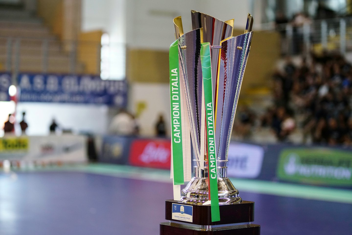 Un trofeo d'argento e oro con nastri verdi su una base di legno.